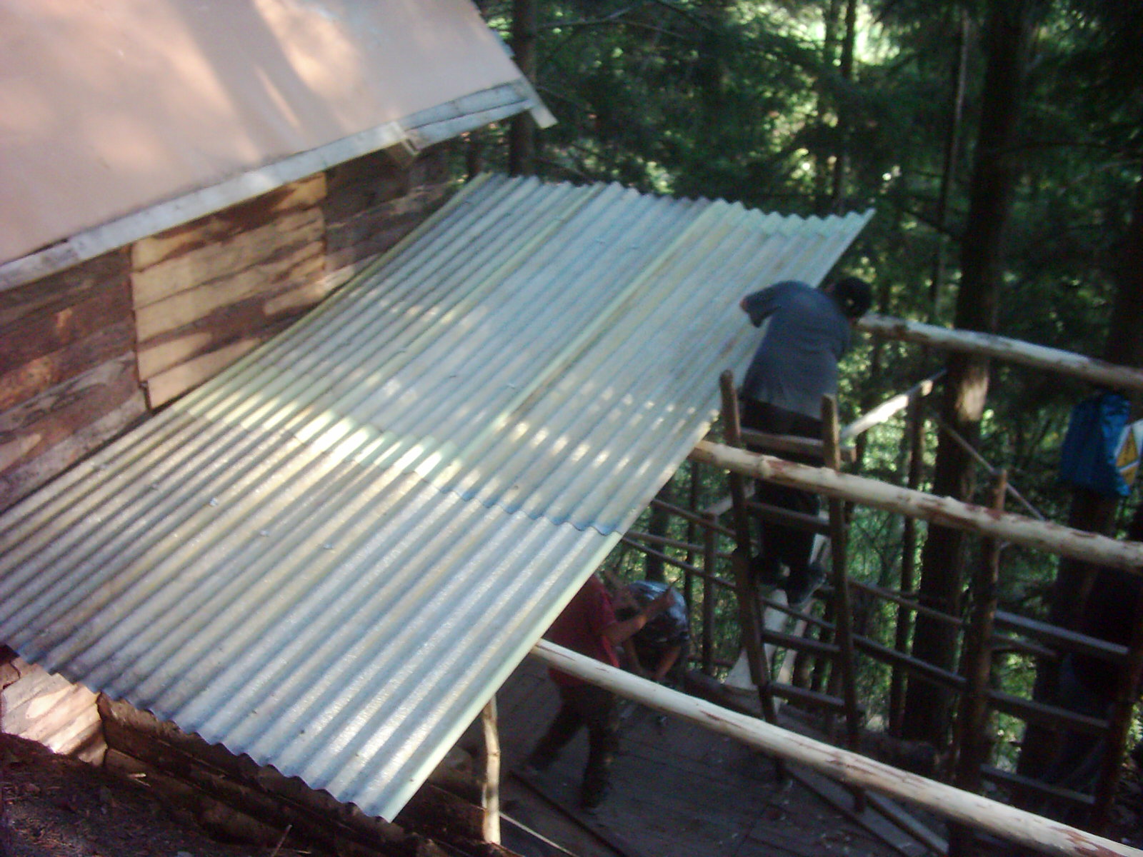 DSCI0869.JPG