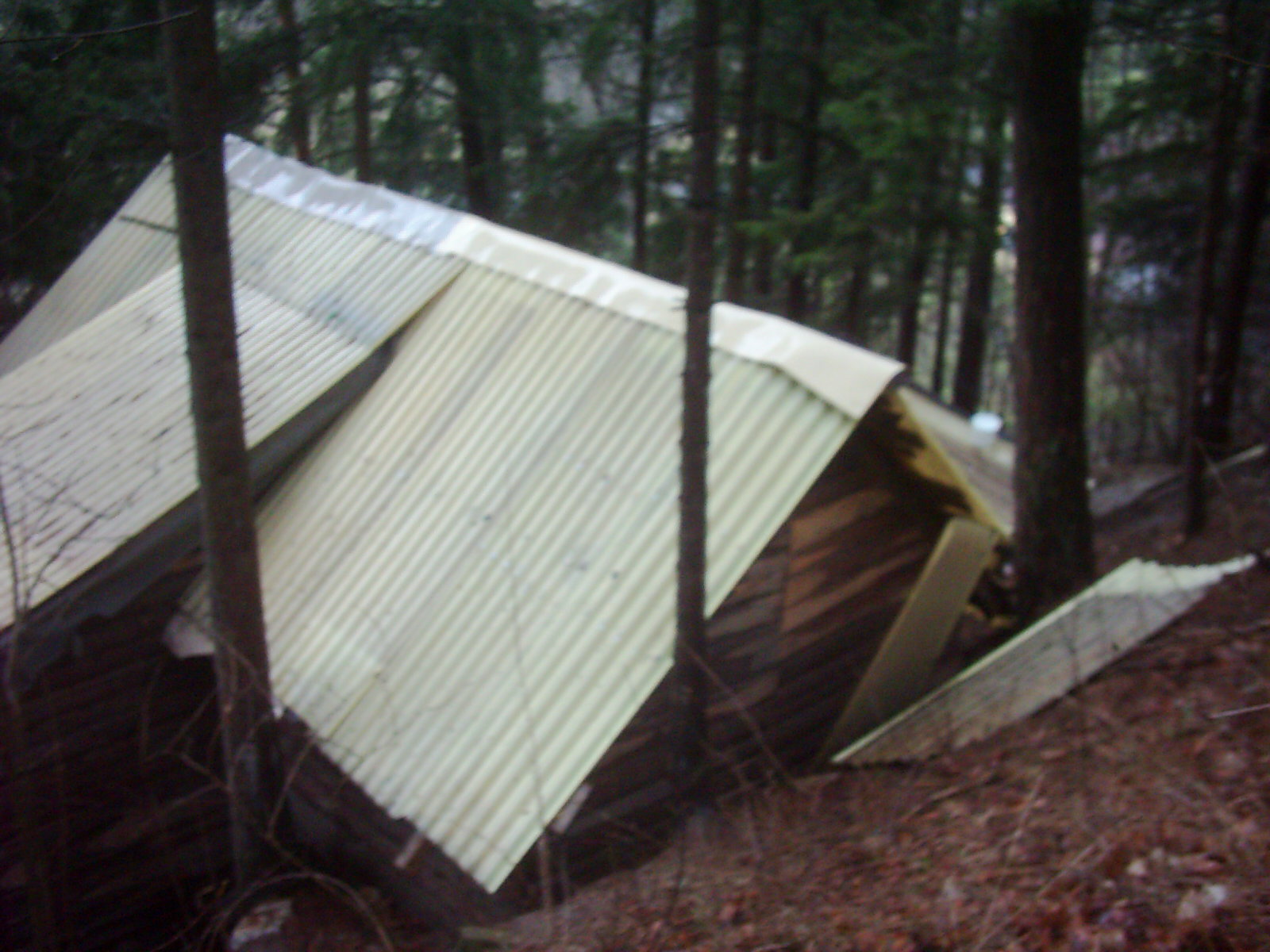 DSCI0025.JPG